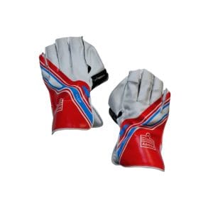 Admiral Club Wicket Keeper Gloves